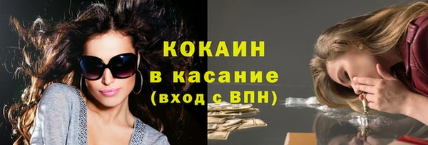 дурь Дмитриев