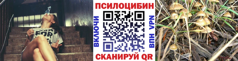 Псилоцибиновые грибы GOLDEN TEACHER  Купить где  Каргат 