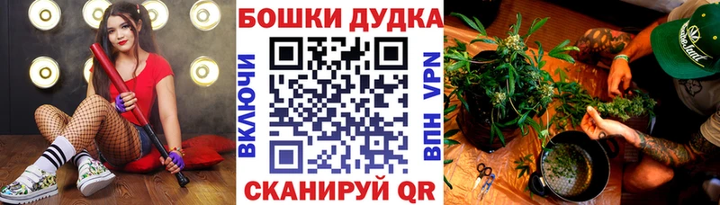 МАРИХУАНА Bruce Banner  Купить где  Каргат 